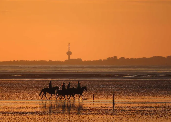 Residenz Haus Elisabeth 公寓 *